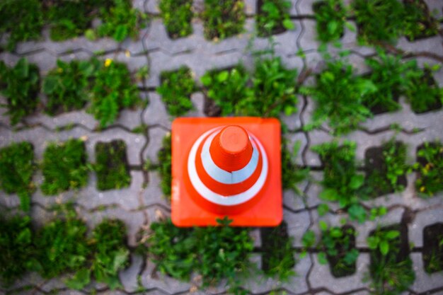 Jakie są sygnały alarmowe, na które warto zwrócić uwagę?