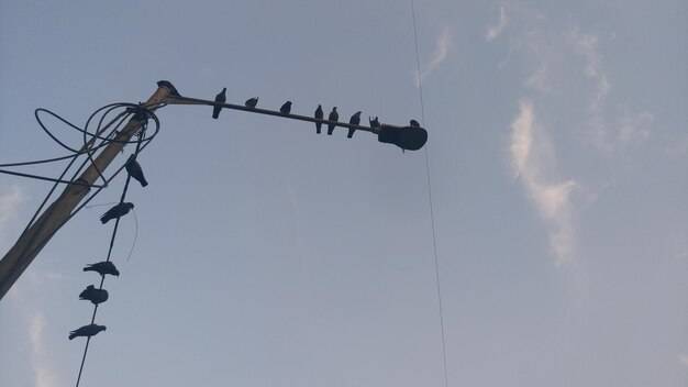 Odgromnik co to jest i jak działa?