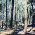 Jak należy zachować się w lesie, by cieszyć się naturą i jej spokojem?