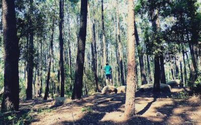 Jak należy zachować się w lesie, by cieszyć się naturą i jej spokojem?