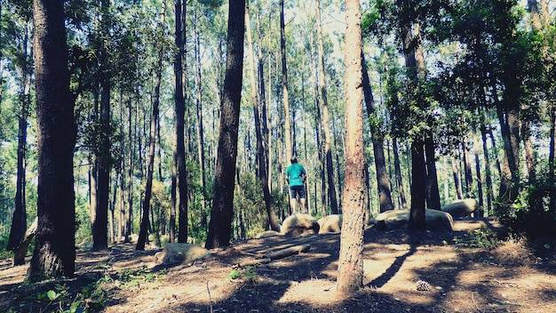 Jak należy zachować się w lesie, by cieszyć się naturą i jej spokojem?
